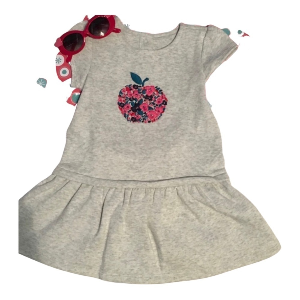 Gymboree lovely apple gray dress Toddler 18-24